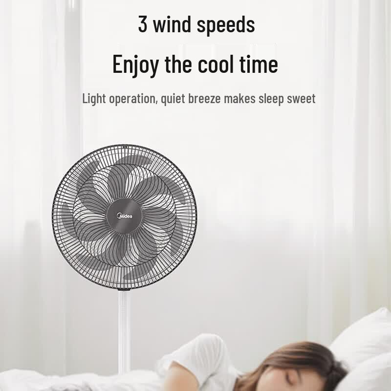 Midea 7-Blade Pedestal Fan with Timer CN Plug (adapter Included)
