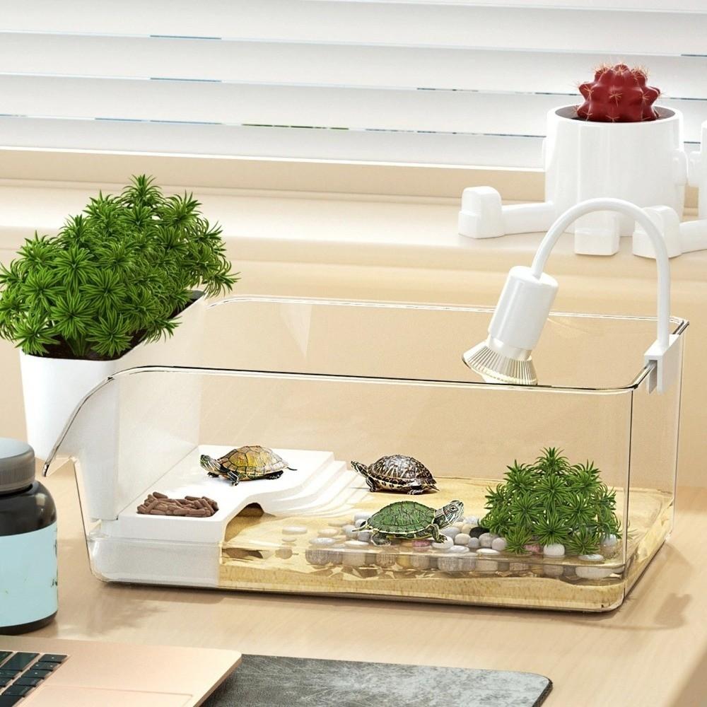 Trocken-Nass-Trennung Schildkrötenbecken Sonnenplatz Schildkröten Sonnenplattform Krabbenbecken Futterhabitat