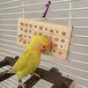 Parrot Bird Nibbling and Grinding Its Beak Peony Mysterious Phoenix Small Sun Tearing Training Puzzle Solving Toys
