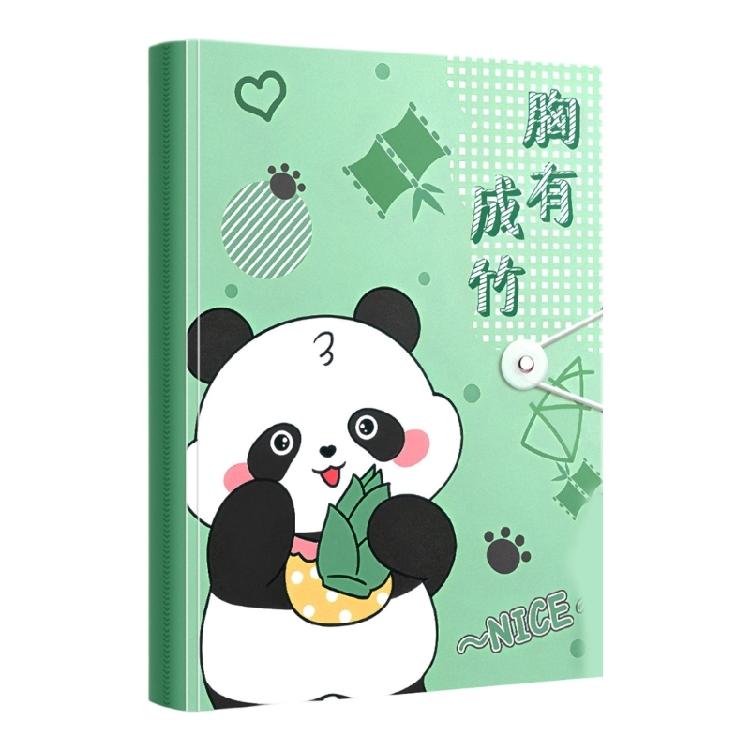Clear Document Folders with Cartoon Design Lightweight File Storage for Students Teachers Award Certificate Organization