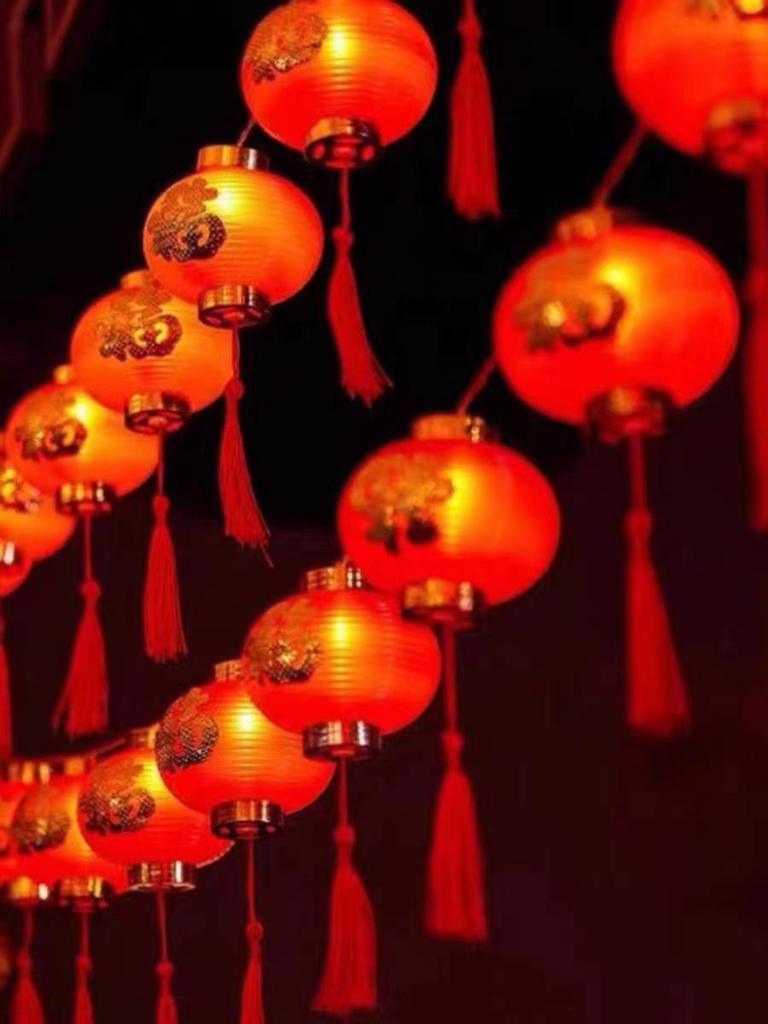 LED Gypsophila Red Lantern String Lights for New Year and Spring Festival Decor