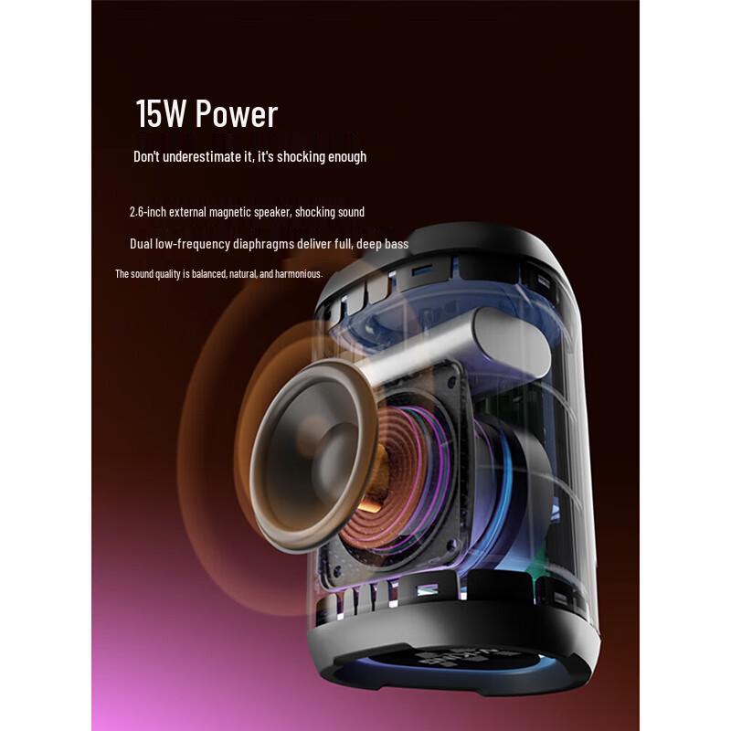 W-King D110 Portable Bluetooth Speaker