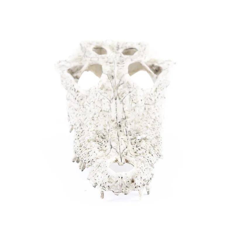 Aquarium Decor Resin Crafts Dinosaur Crocodile Skull Fish Tank Ornament Underwater Landscape
