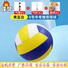 Feng Ao Student Training & Competition Volleyball Set
