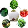 Nonwoven Plant Cover 3m x 10m Freeze Protection Fabric Durable Reusable Garden Frost Wind Pest Shield Winter Vegetable Greenhouse Blanket