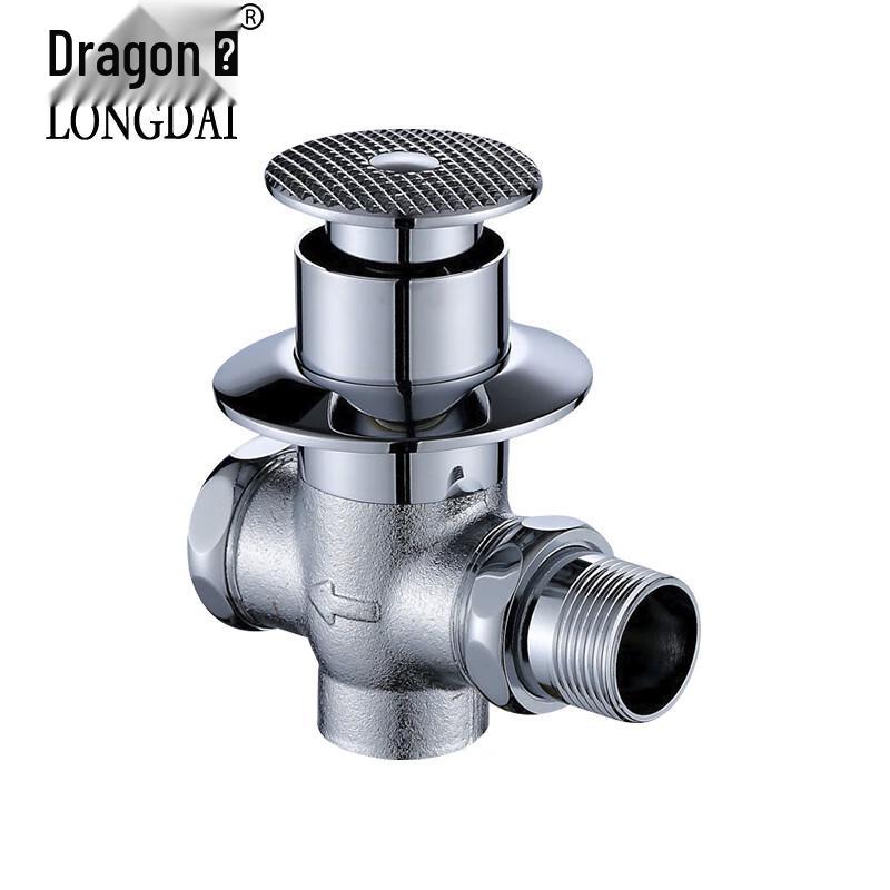 Longdai Foot-Operated Concealed Squat Toilet Flush Valve