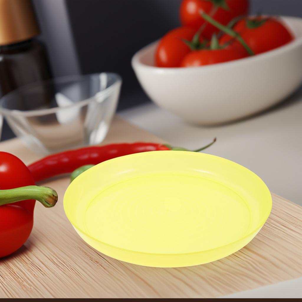 Plastic Dinner Plate Kids Reusable Outdoor Round Translucent Salad Plate Unbreakable Snack Platter Bbq Travel Camp Dining Safe