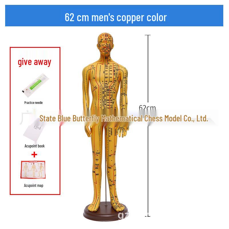 Ultra-Clear Silicone Model: Acupuncture & Meridians Teaching for Tuina Massage Practice