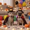 Adjustable Cat Wizard Cape Outfit Bat Pattern Pet Halloween Costume All-Season Wear