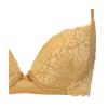 AMOSTYLE BY Triumph Swinging Bouquet Bra Panty 3664 Size F70M & Set, (Yellow Ochre),