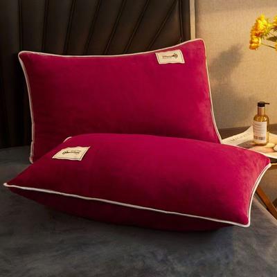 Velvet Pillowcase 2PCS Flannel Warm Bedding Pillowcases Pillow Case Soft Covers for Sleeping Pillow Home Textile (no Pillow)