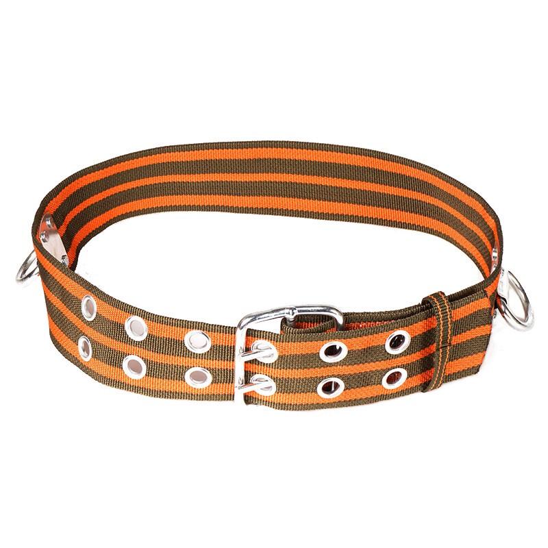 Pandenwell Professional Safety Belt