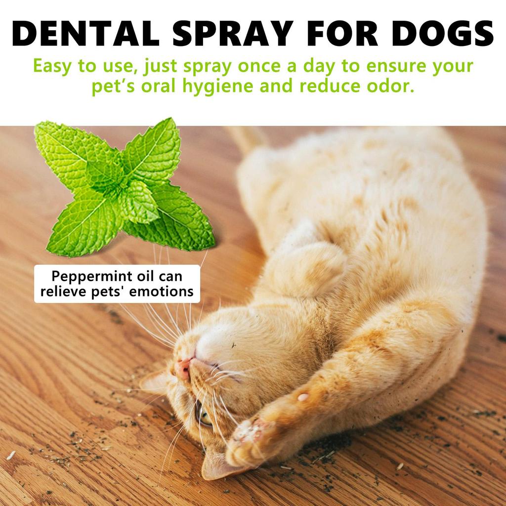 Pet Oral Cleaning Spray Mouth Tartar Plaque Clean Kitten Bad Breath Removal Dntal Calculus Prevention Cat Breath Freshen Liquid
