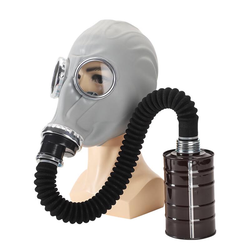 DAXTE Full-Face Gas Mask