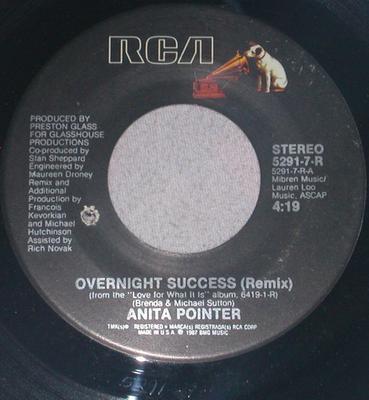 Disco de 7 polegadas ANITA POINTER - Sucesso da Noite para o Dia (Remix) 52917R RCA 1987 EUA Soul/Funk Usado