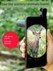 Mobile Phone Monocular Telescope Bifocal System HD Mini Low Light Night Vision HD High Power Portable Concert Outdoor