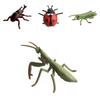 Realistic Pvc Insect Bees Spiders Model Set For Science Education And Collection Display