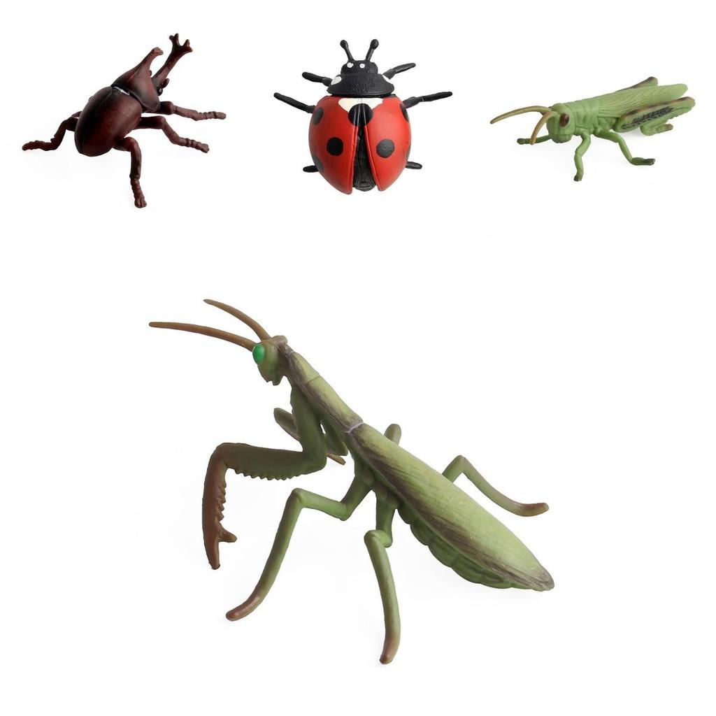 Realistic Pvc Insect Bees Spiders Model Set For Science Education And Collection Display
