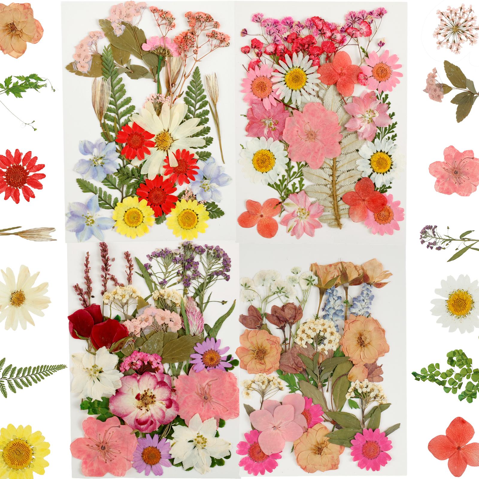 

90 шт. Засушенные прессованные цветы для эпоксидных форм, красочные настоящие прессованные цветы, натуральные сухие прессованные цветы, красивые сухоцветы для DIY розовый