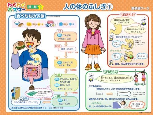 Elementary School Textbook Work Science 6th Grade Education Publishing Edition