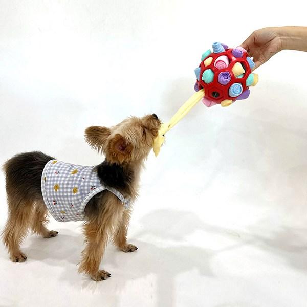 Dingdongpet Haustierhund Signalhorn Nasenarbeit Ball, rot, 1 Stück