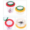 Kids Insect Catcher with Magnifiers Glass Foldable Insect Observation Box for Outdoor Nature Exploration Classroom Education