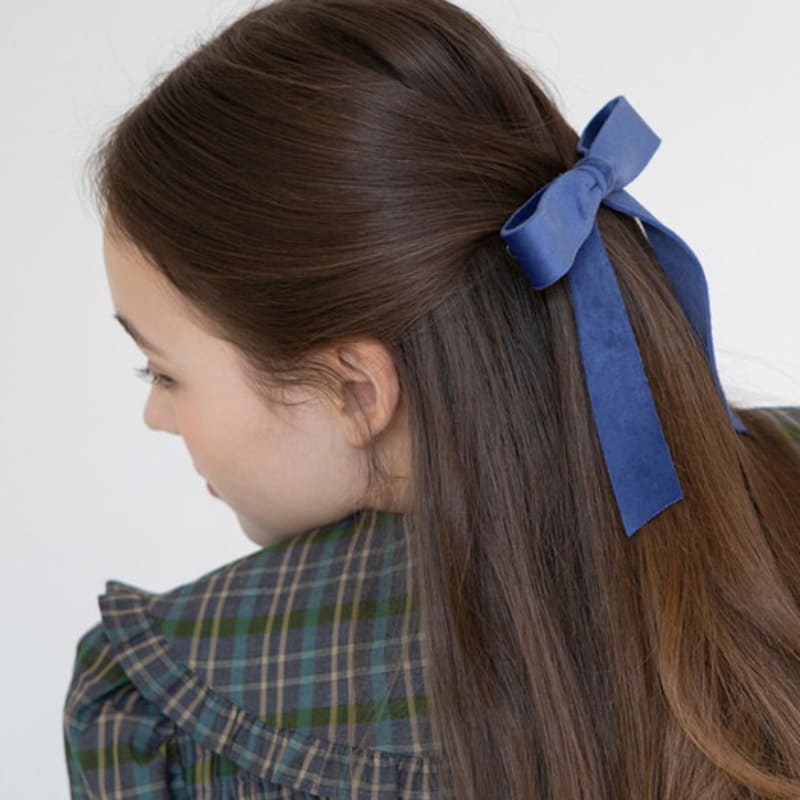 FANTASTIC PLANET classic velvet ribbon hair pin (2colors)