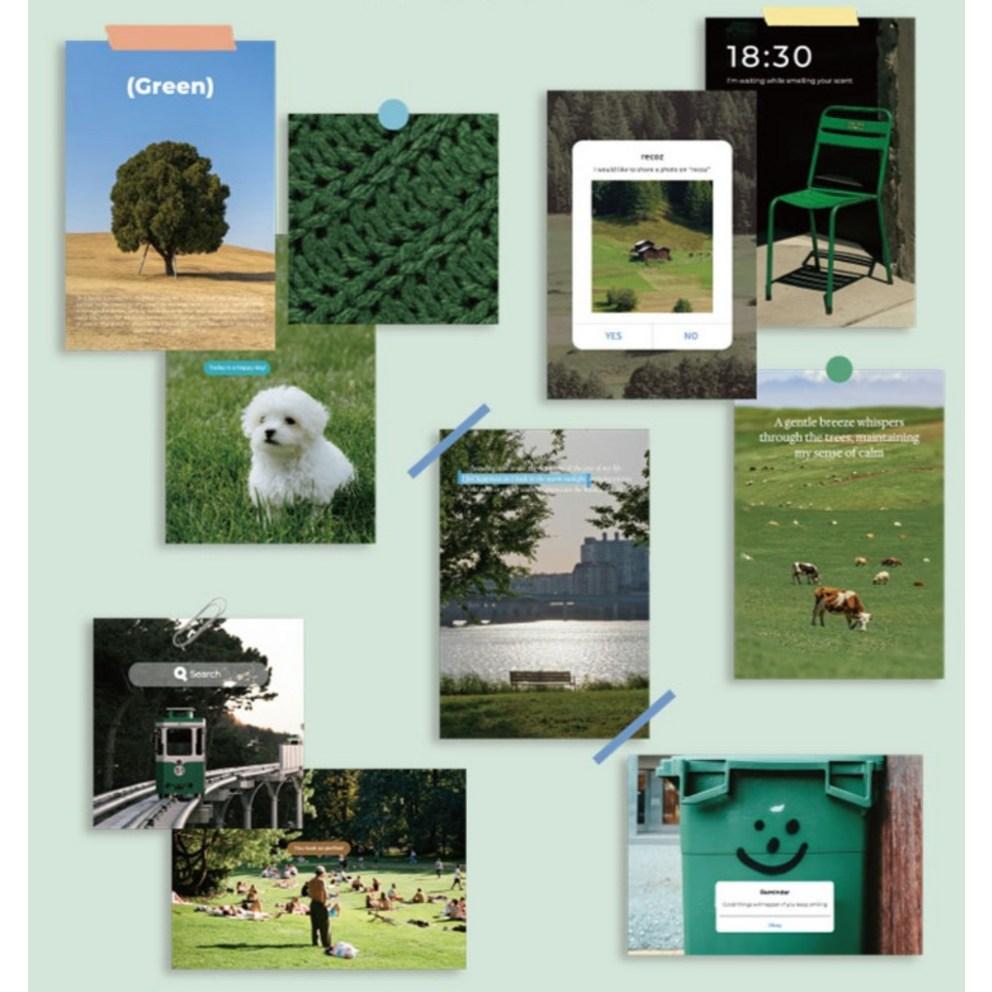 Rico's Object Deco Photo Postcard Set, Natural Green, 1 Set