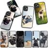 Für Samsung Galaxy A25 A37 A57 A12 A14 A31 A41 A50 A51 A70 A71 A72 A21S A04 M15 Note 20 9 8 10 Handyhülle Französische Bulldogge Hund Haustier