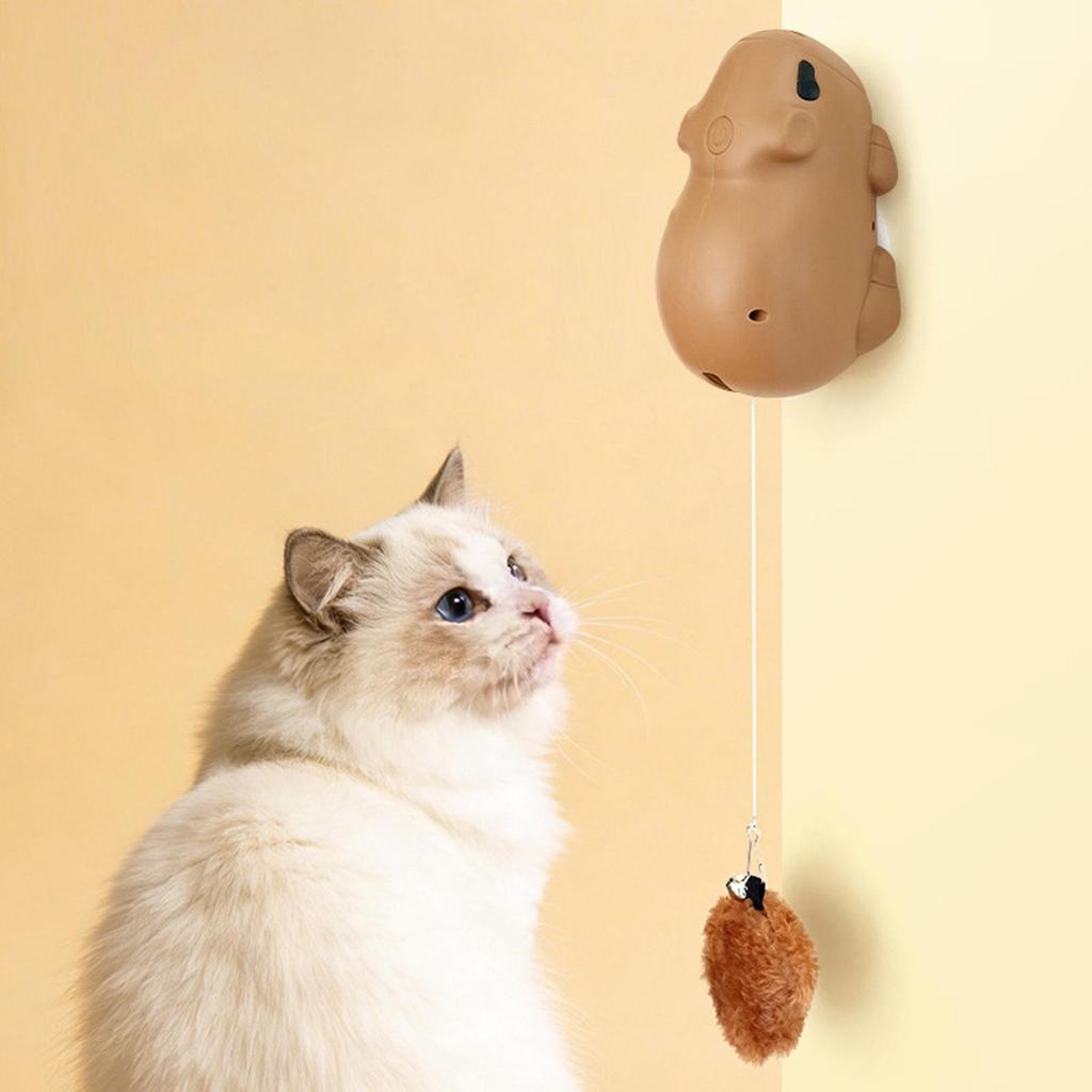 Rechargeable Electric Cat Toy with Motion Sensor Interactive Ball for Kitten & Adult Cats, Indoor Outdoor Play for Home Park