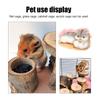 Hamster Exercise Toy Ladder Applewood Hamster Stairs Step Play Teeth Grinding Pet Supplies