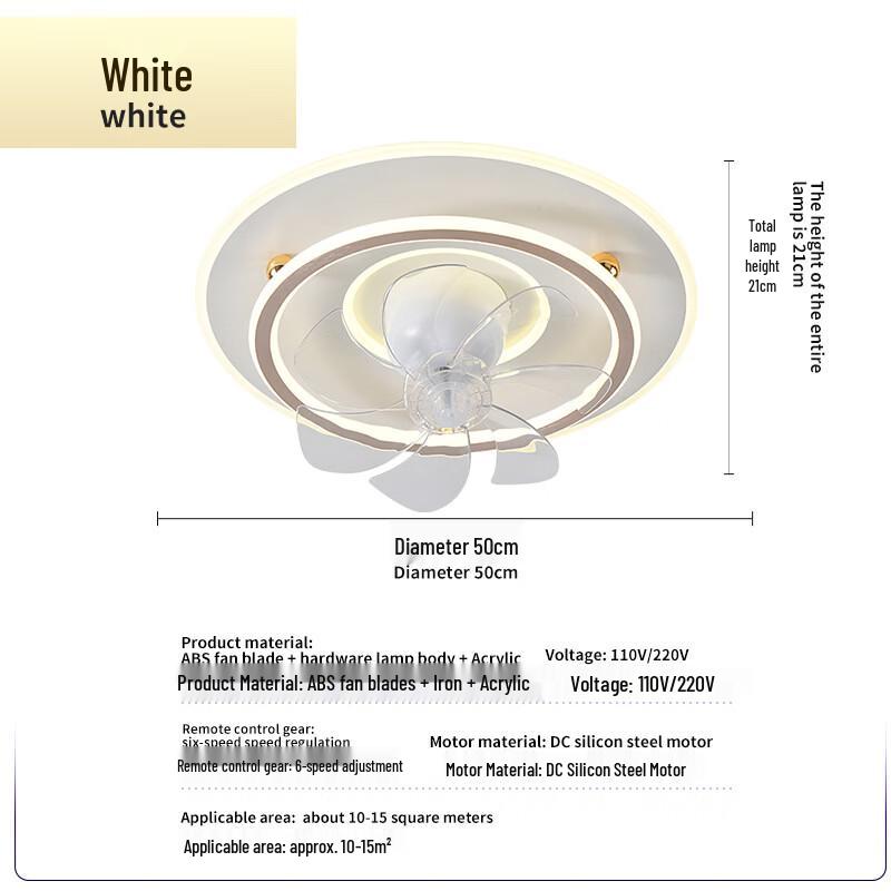 Oeny Modern Minimalist Ceiling Fan Light