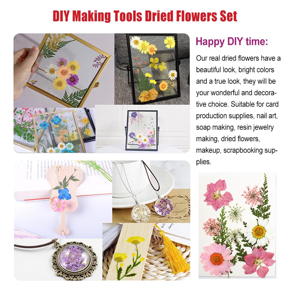 Dried Flowers Set DIY Tools Photography Real Flower Decal Handicraft Filling Pressed Specimen Label for Craft Necklace