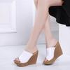 Women's Wedge Sandals 2025 Summer New Arrival: Open-Toe Chunky Sole Platform Sandals