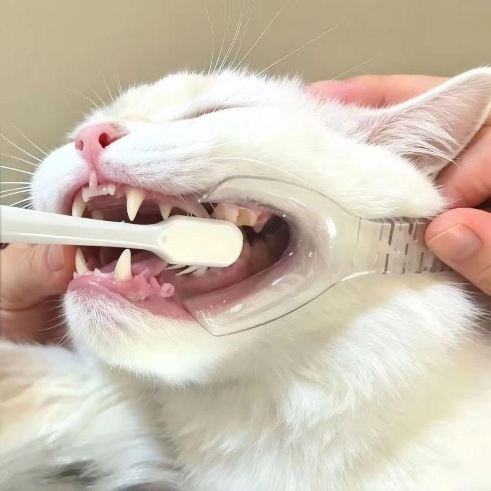 3/4Pcs Convenient Pet Oral Care Reusable Pet Tooth Brushing Helper Teeth Cleaning Tools Puppies