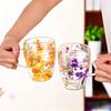 Double-layer Dried Flower Glass Cup High Temperature Resistant Coffee Cup with Handle Dried Flower Decorative Milk Breakfast Cup