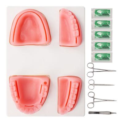 Dental Naht Praxis Kit Silikon Modell Zange Pinzette Gewinde Oral Naht Training Kit