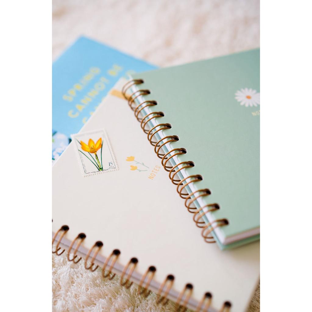 15x15 Cm Square Set Of 2 Spiral Striped Undated Notepad Rainbow