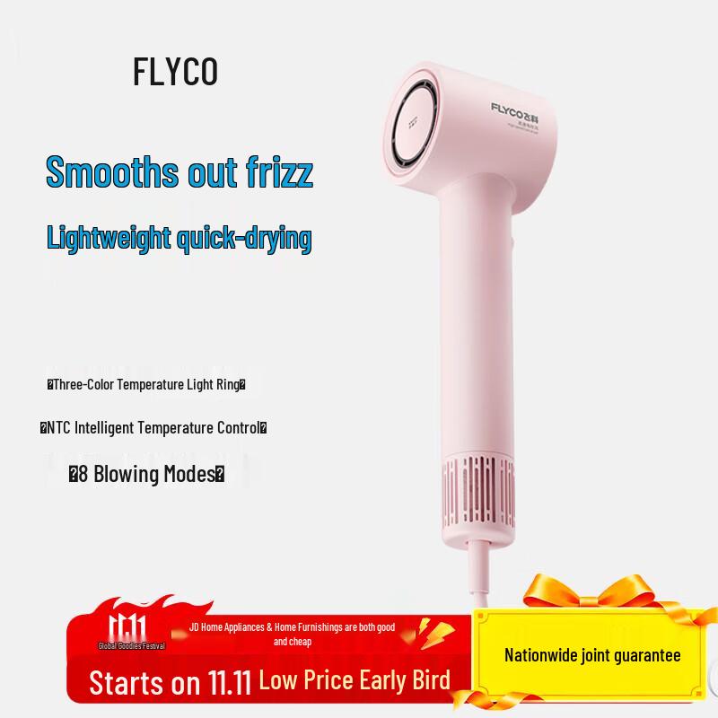FLYCO FH6370 High-Speed Negative Ion Hair Dryer CN plug (adapter included)