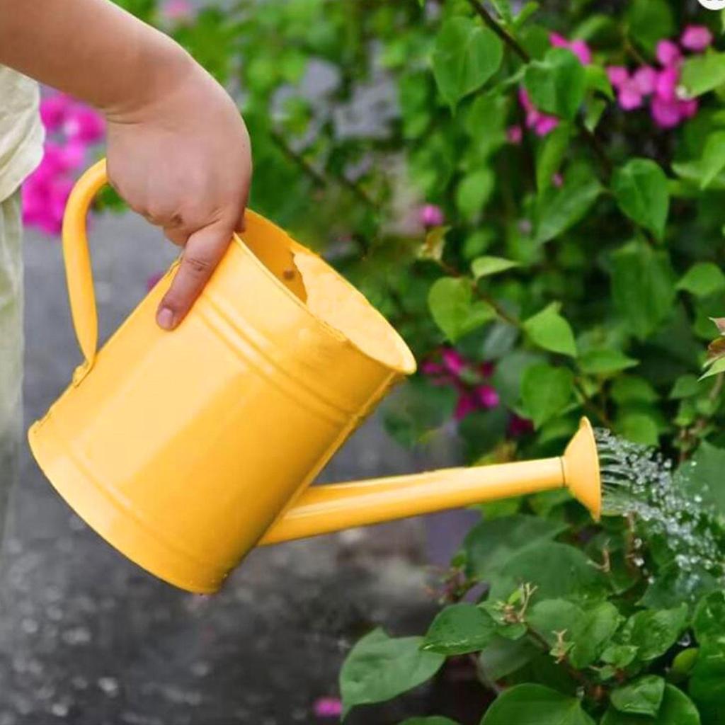 Kids Watering Can Garden Bucket Small Kettle for Flower Bed Bonsai Houseplants
