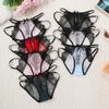 Lace Jacquard Mesh Briefs: Low Waist, Sheer Temptation Women's Panties