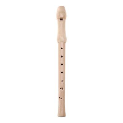 Kids Soprano Recorder 8 Hole C Key Descant Recorder Instrument with Cleaning Rod