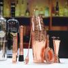 SKY FISH Bartender Kit Cocktail Shaker Set-6 Pieces Stainless Steel Copper Plated Etching Bar Tools with Boston Shaker Tins,Mixing Spoon,Mojito