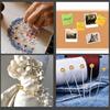 Push Pins Round Head Tacks Poster Pins Map Tacks for World Map Cork Board School Office Supplies