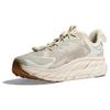 HOKA ONE ONE Clifton Ls Satisfy Celadon Tint 1143450-CTWW