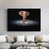 Andromeda Galaxy Photo Modern Wall Art Canvas Print Poster Whimsical Elephant Animal Picture for Living Room Home Decor Cuadros