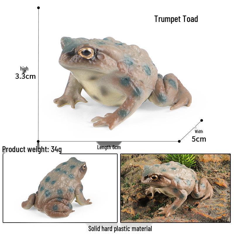 Children s Cognitive Frog Simulation Toy - Includes Tree Frog, Toad, Poison Frog Models