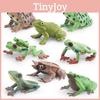 Jungle Animal Pvc Models With Realistic Frogs For Educational Kids Toy And Collection