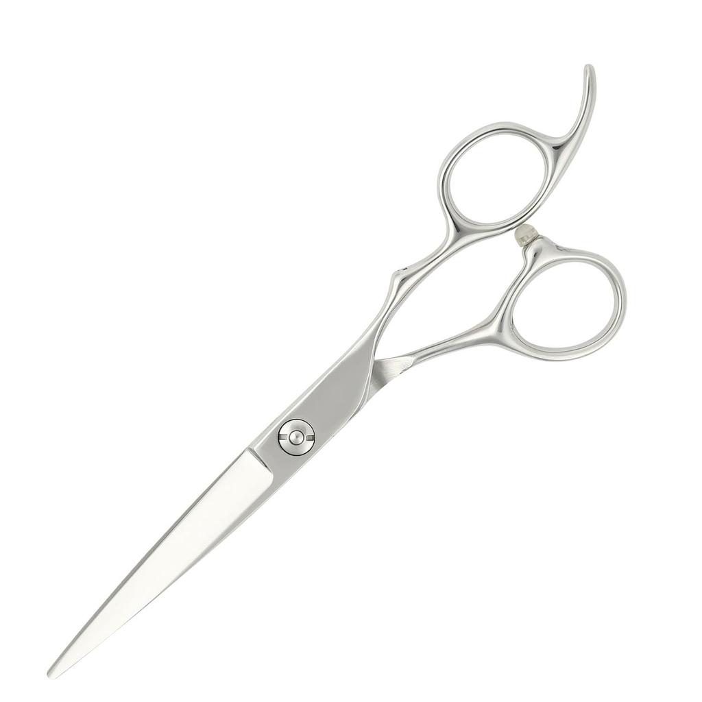DEEDS GTZ Professional Hairdressing Scissors with Forged Made in Japan by a Japanese Scissor Includes Case Scissors, 6.25-inch, Finish, Manufacturer,