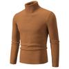 Herren Pullover Herbst/Winter 2024 Hoher Kragen Unifarben Lässig Gestrickt